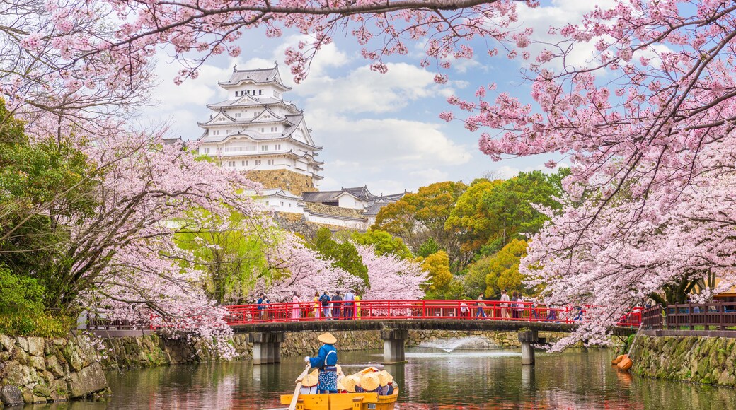 Himeji Castle, Japan in Spring