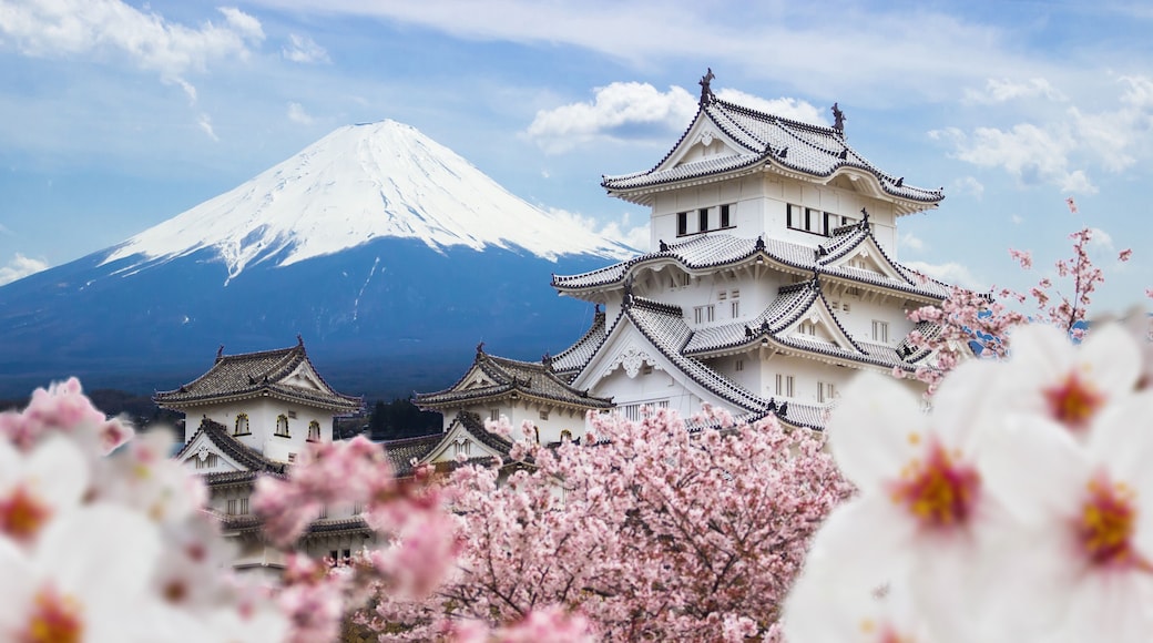 Himeji Castle and full cherry blossom, with Fuji mountain background, Japan, Shutterstock ID 601341215, Purchase Order: -