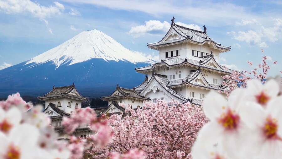 Himeji Castle and full cherry blossom, with Fuji mountain background, Japan, Shutterstock ID 601341215, Purchase Order: -