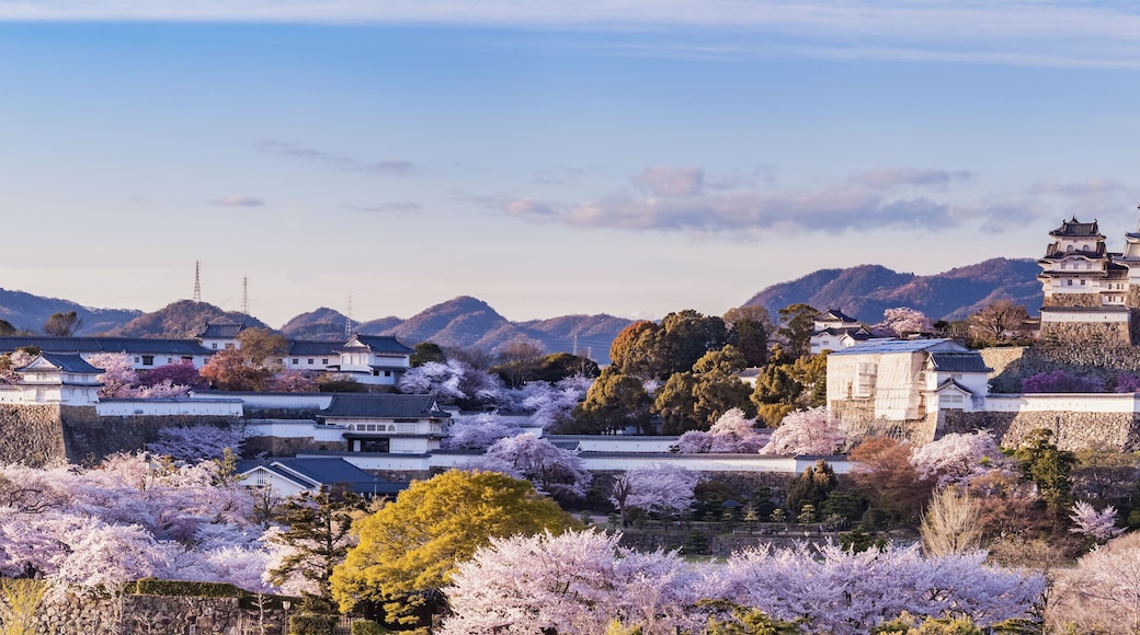 姬路城