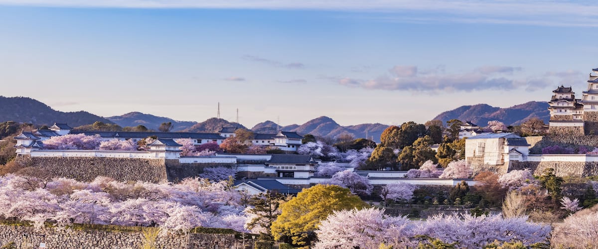 A traditional Japanese castle with cherry blossoms in full bloom, surrounded by mountains and traditional architecture.