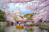 Himeji Castle with beautiful cherry blossom in spring season