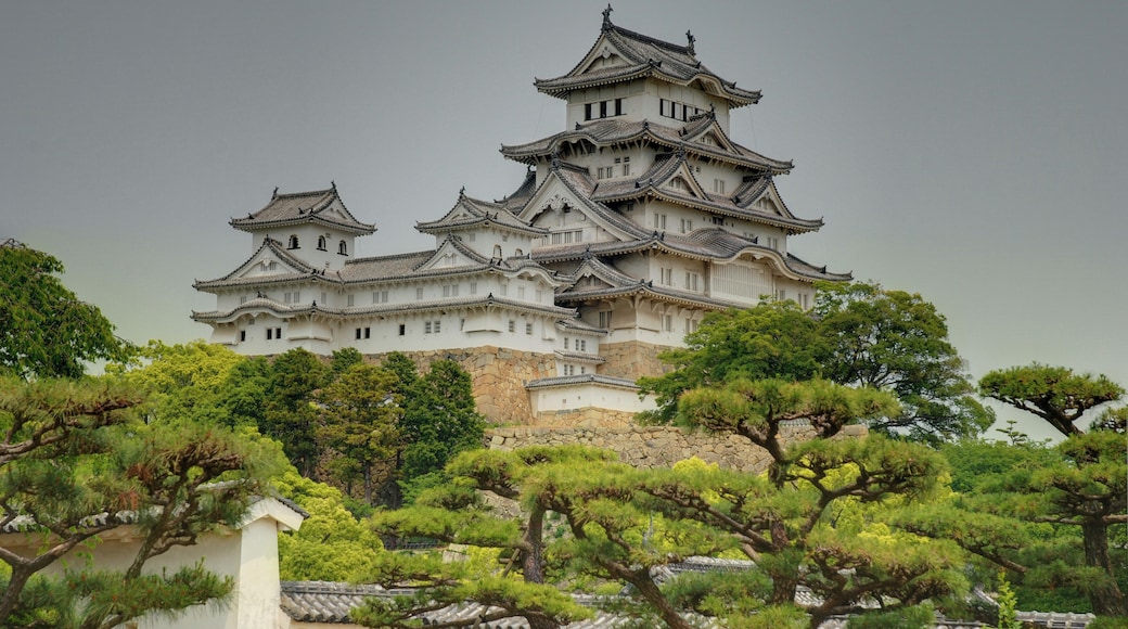 Himeji Castle is a flatland-mountain Japanese castle complex located in Himeji.