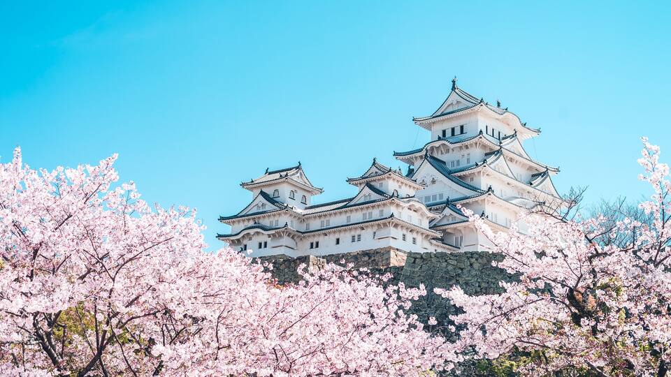 姫路城の桜 -Sakura- Cherry Blossoms and Himeji Castle