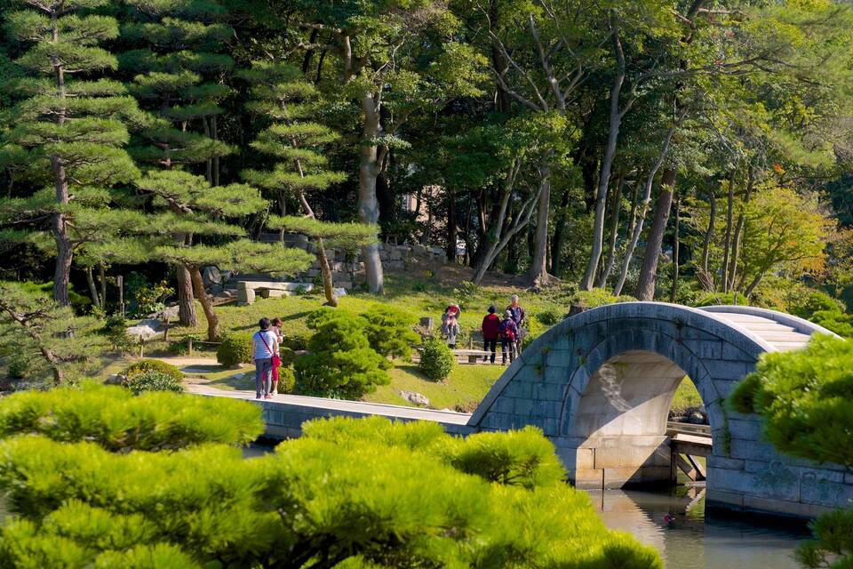A stone bridge over a pond in a Japanese garden with pine trees and a stone wall.
