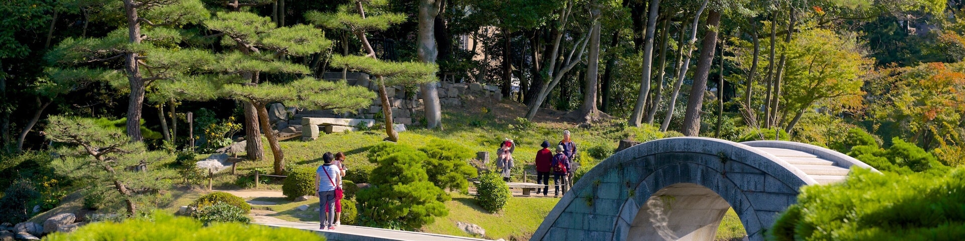 Shukkeien showing a garden