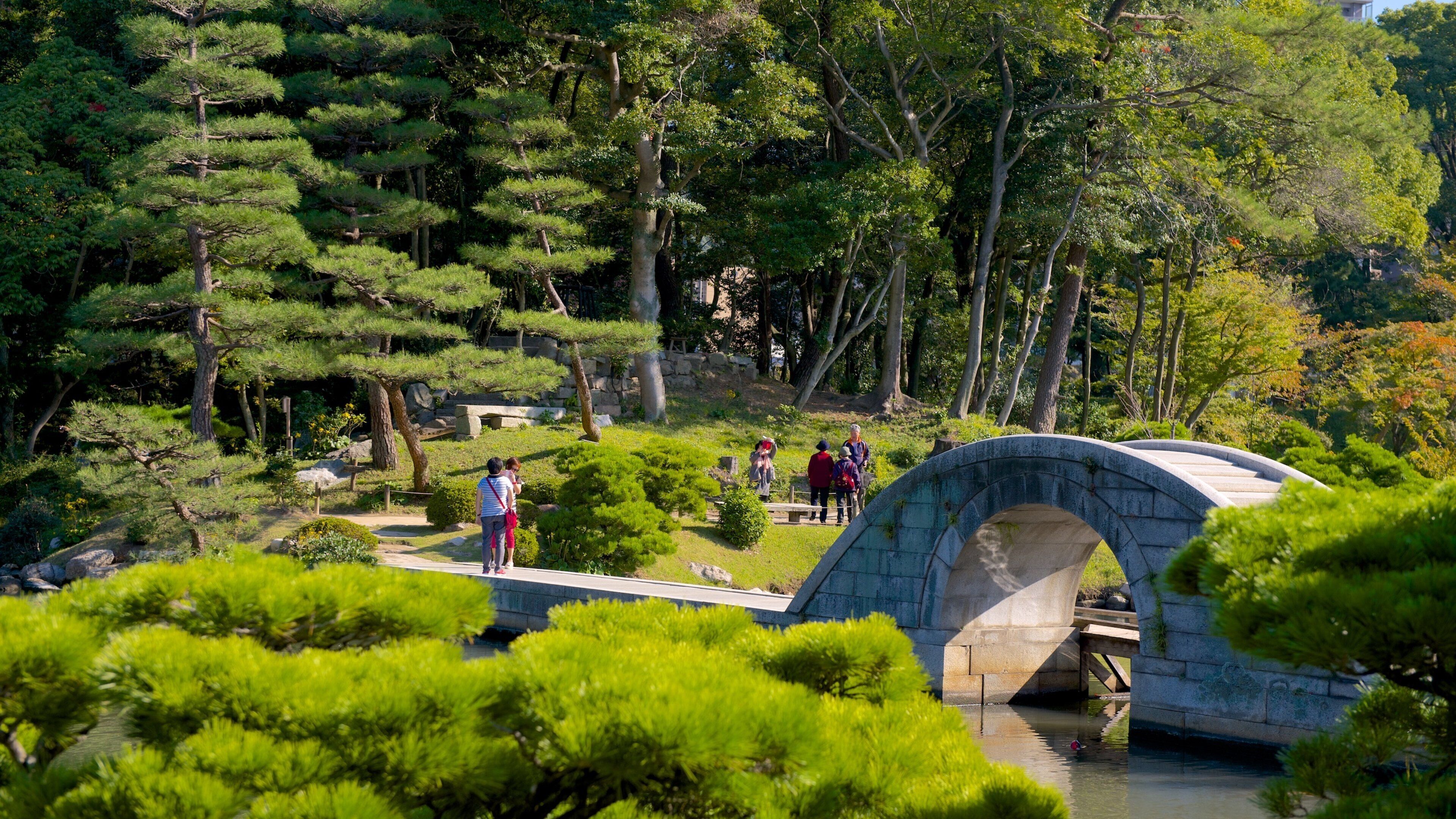 A stone bridge over a pond in a Japanese garden with pine trees and a stone wall.