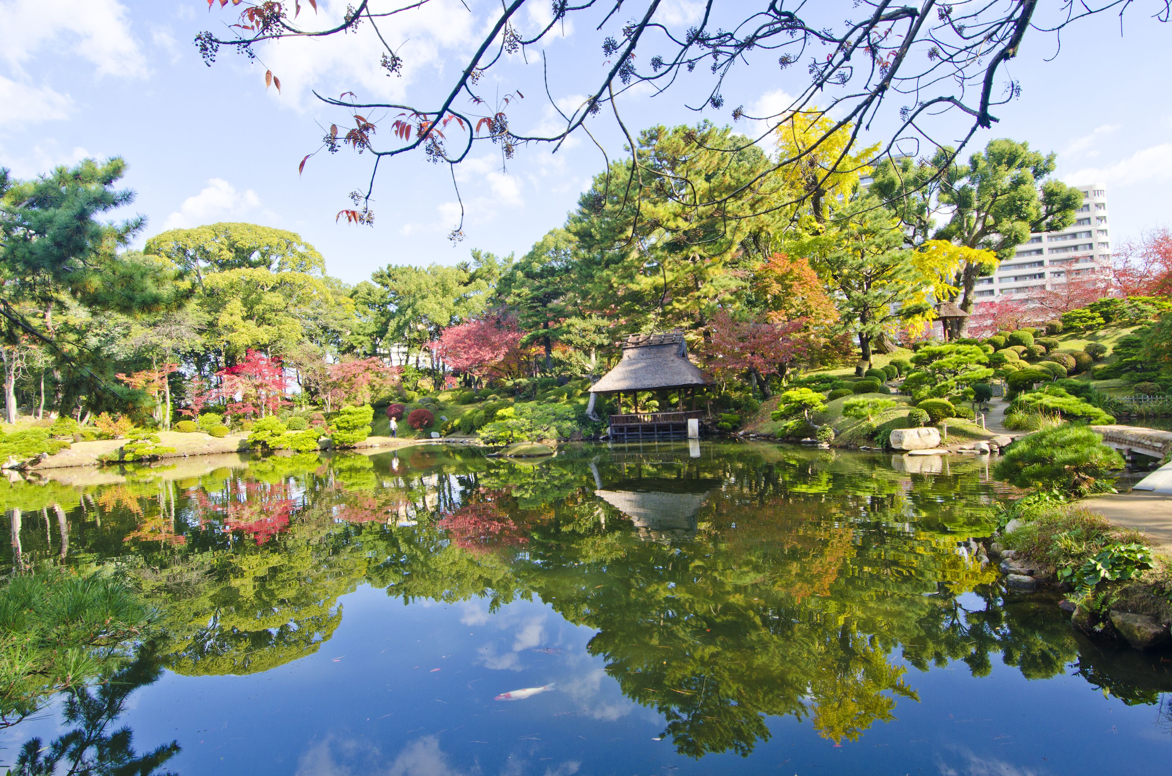 Shukkeien Japanese garden in Hiroshima, Japan; Shutterstock ID 690413821; purchase_order: SF 06557000; job: ; client: ; other: