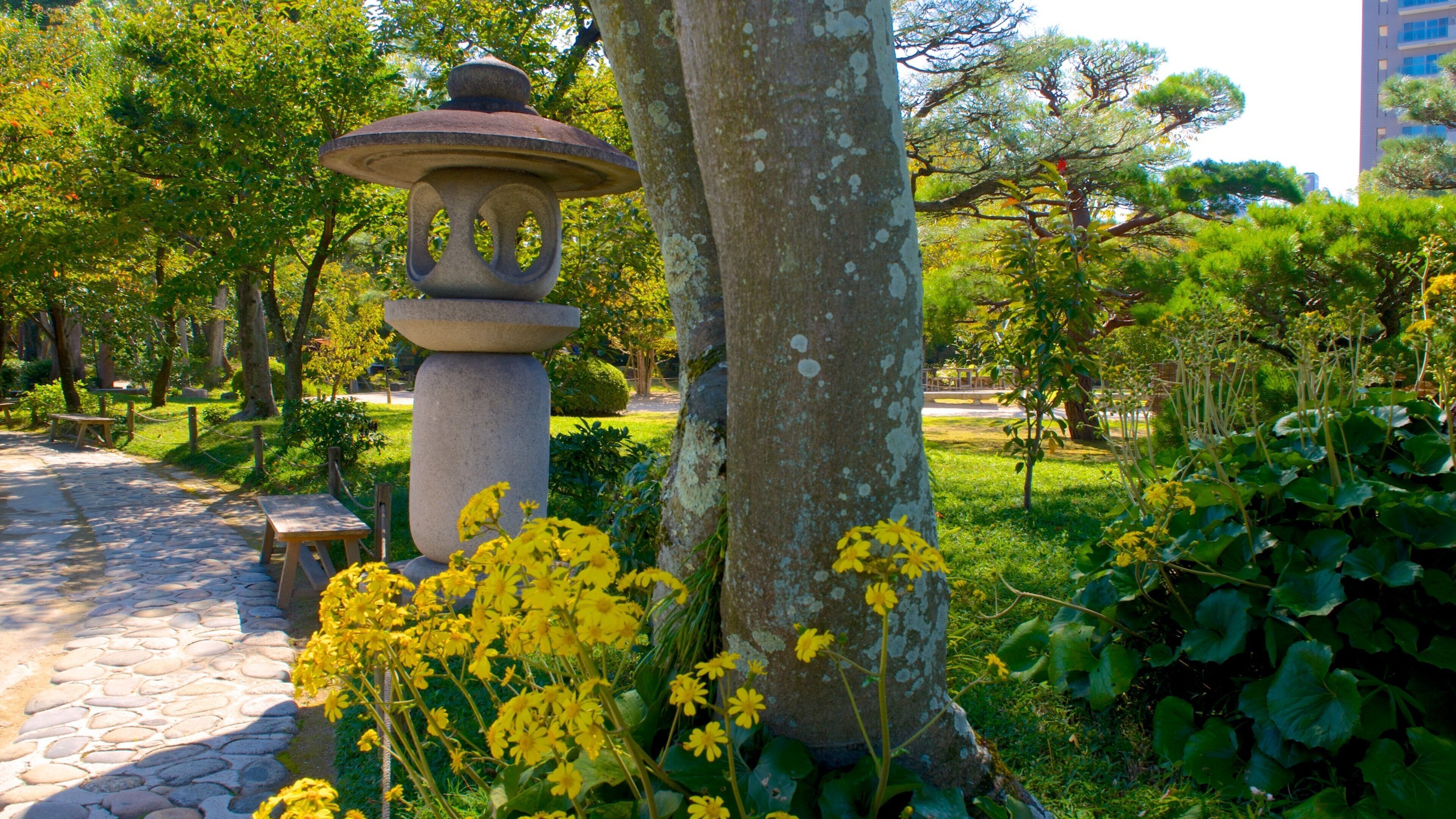 縮景園 设有 花園