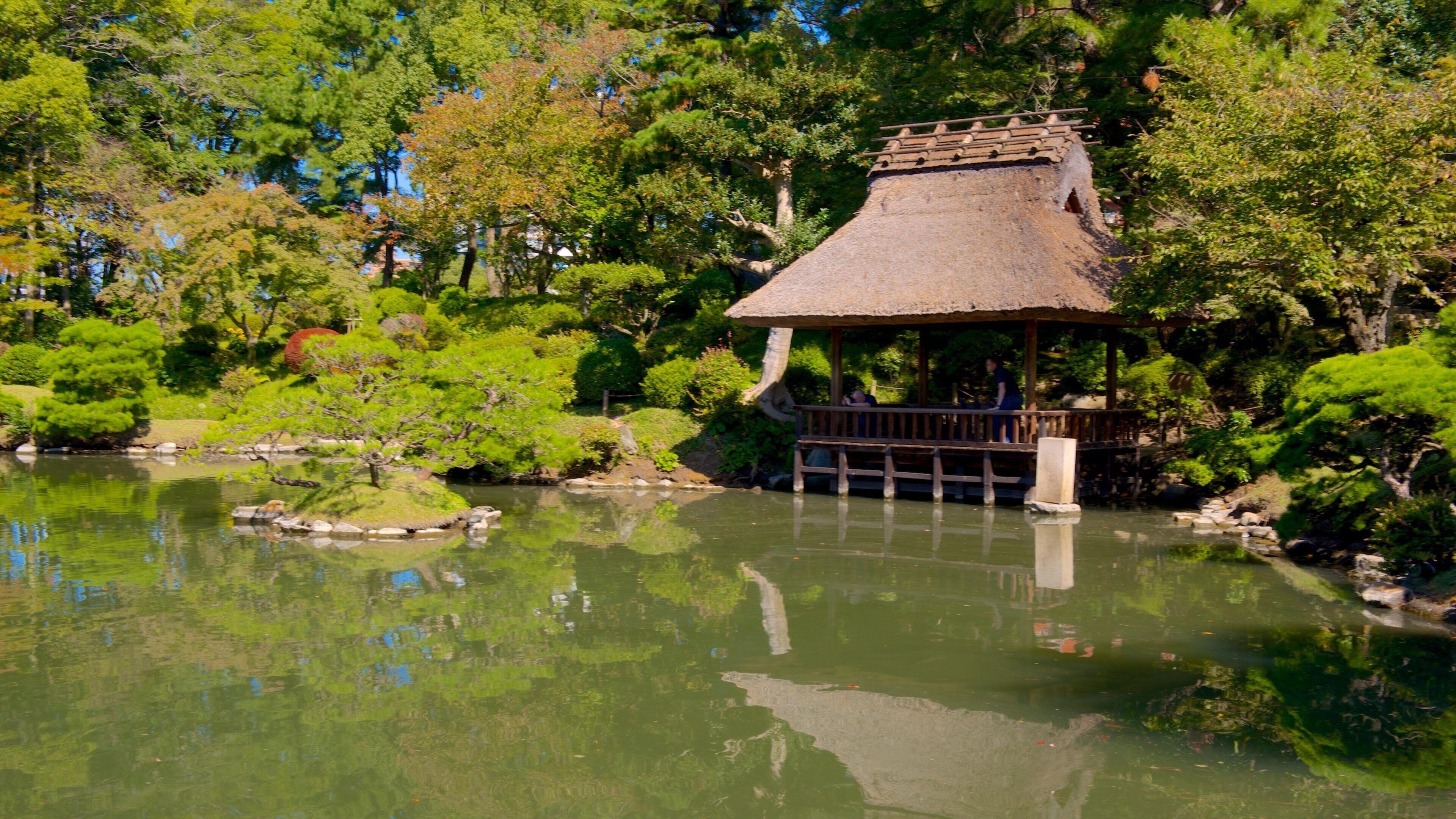 Ein traditionelles japanisches Pavillon am Teich mit einem Reetdach, umgeben von üppiger Vegetation und Bäumen.