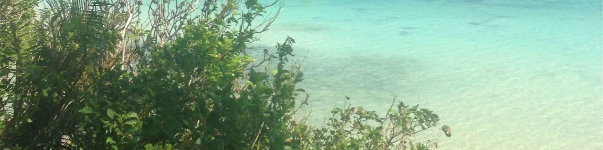 Yonaehara beach on Iskigaki, Okinawa. The water is the most incredible colour I've ever seen.