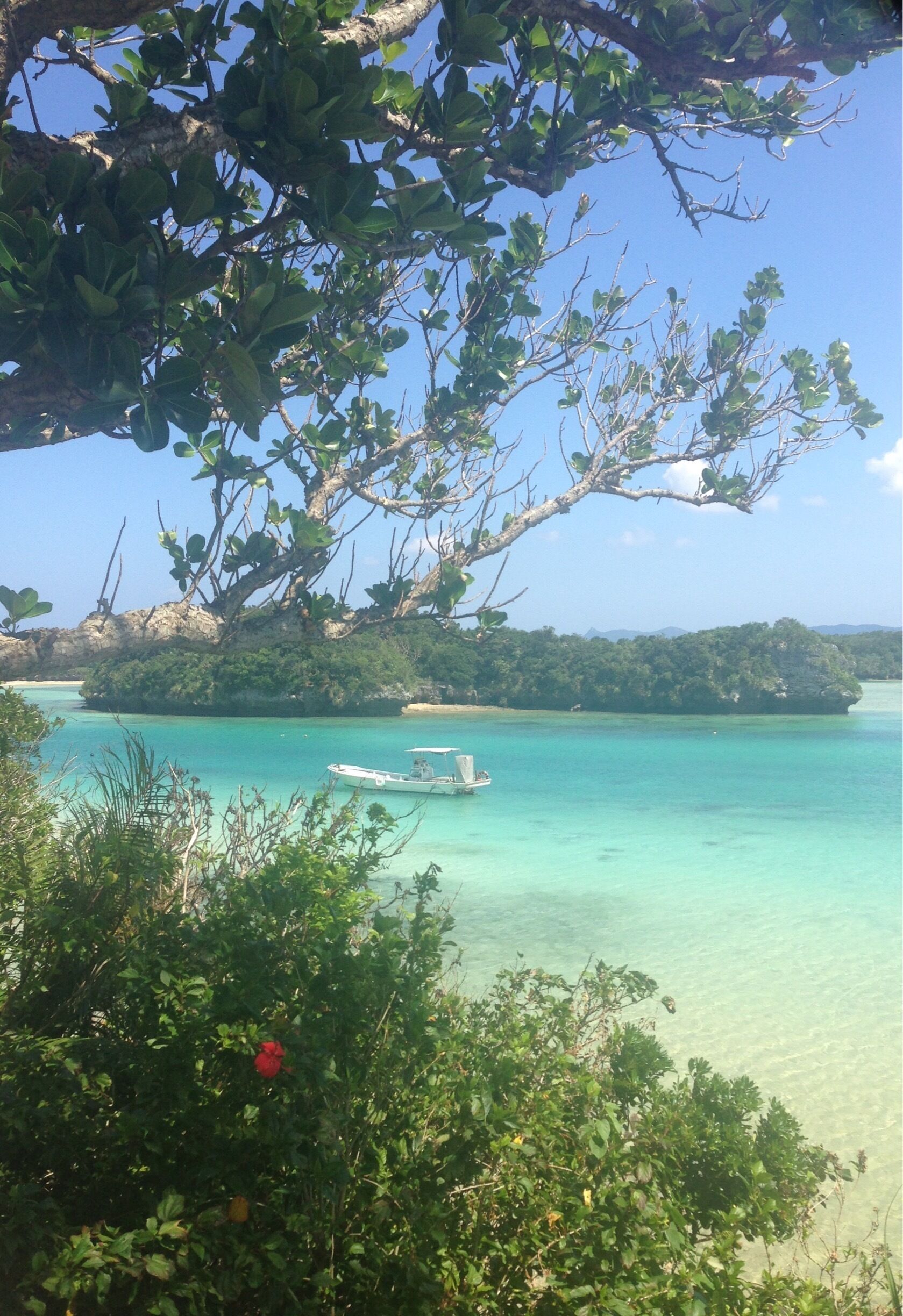 A coastal landscape with clear turquoise waters, a small boat, and lush greenery.
