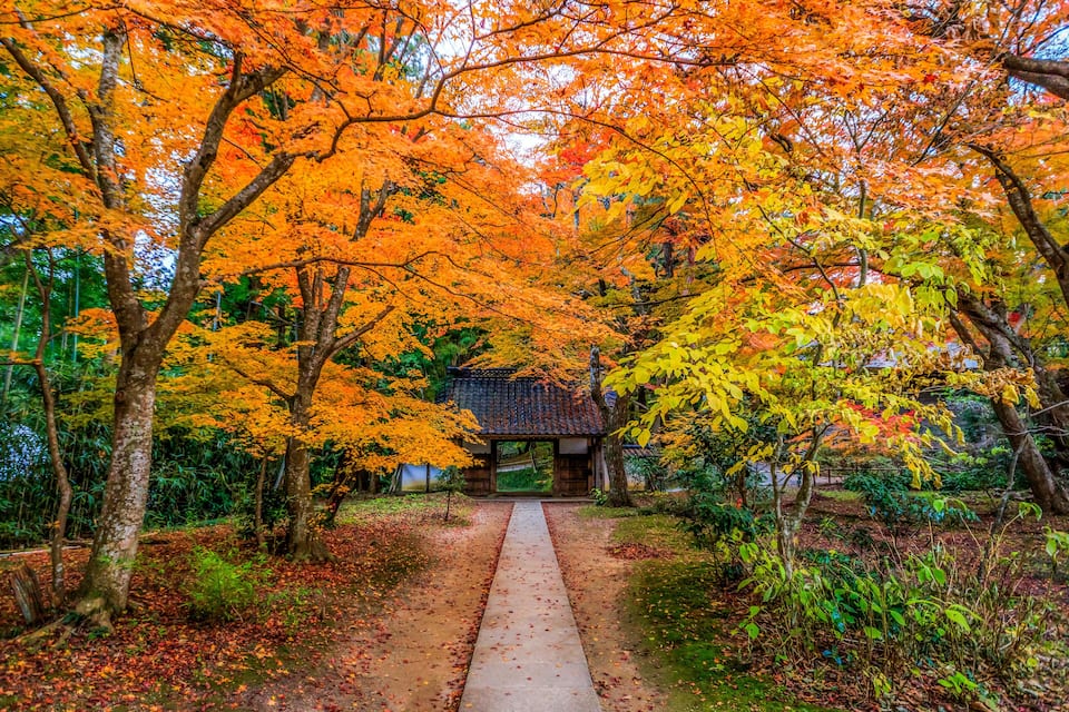 A pathway leading to a traditional Japanese building surrounded by autumn foliage.