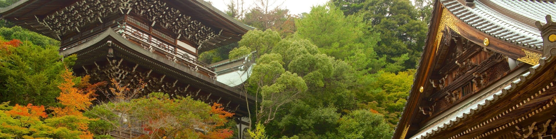 Denkmal Daisho-in welches beinhaltet Garten und Tempel oder AndachtsstÀtte