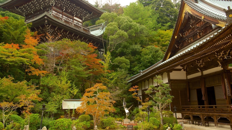 Daisho-in featuring a temple or place of worship and a park