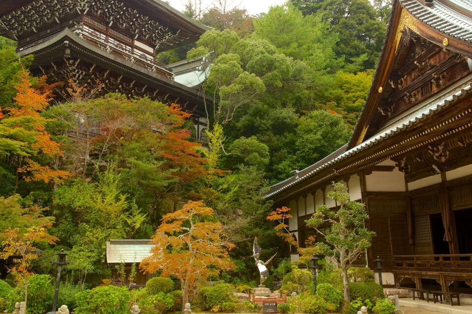 Ein traditioneller japanischer Tempel, umgeben von üppiger Vegetation und Herbstlaub.