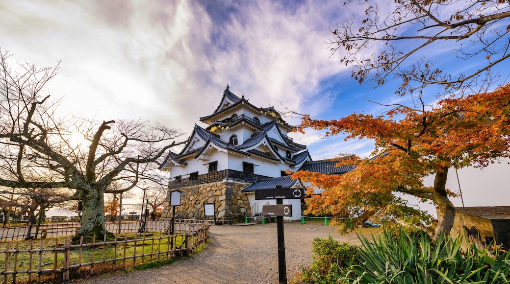 Hikone