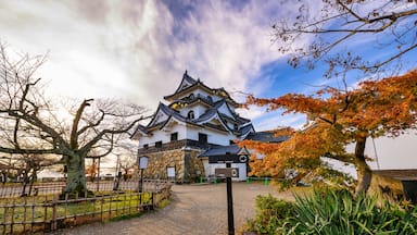 Beautiful sky during the autumn leaves season at Hikone Castle, Shiga Prefecture Japan.