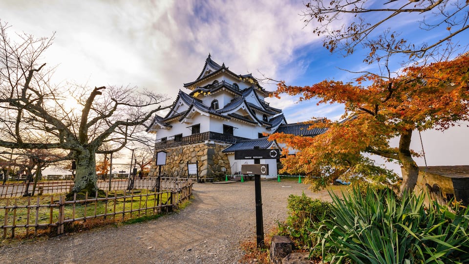 A traditional Japanese castle with a stone wall, a wooden fence, and autumn foliage.