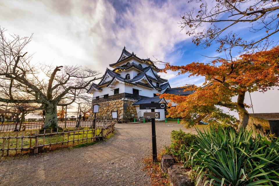 A traditional Japanese castle with a stone wall, a wooden fence, and autumn foliage.