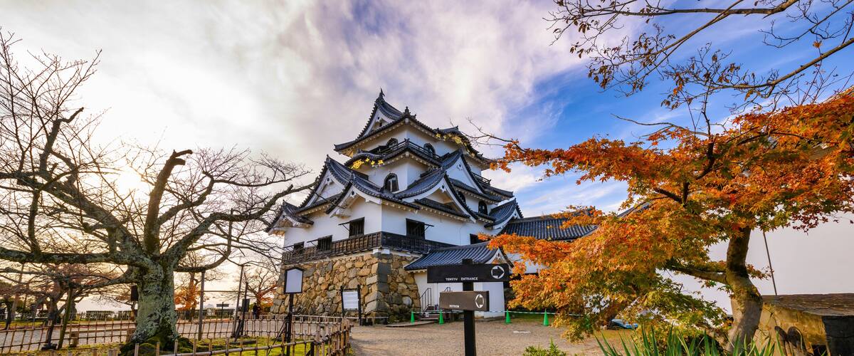 A traditional Japanese castle with a stone wall, a wooden fence, and autumn foliage.