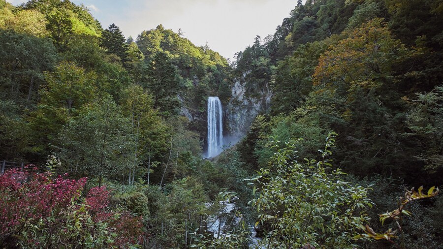 Takayama_HirayuWaterfall_6102554_02