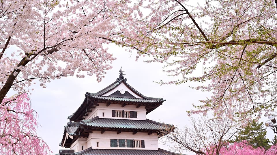 A traditional Japanese building with a multi-tiered roof, surrounded by cherry blossom trees.