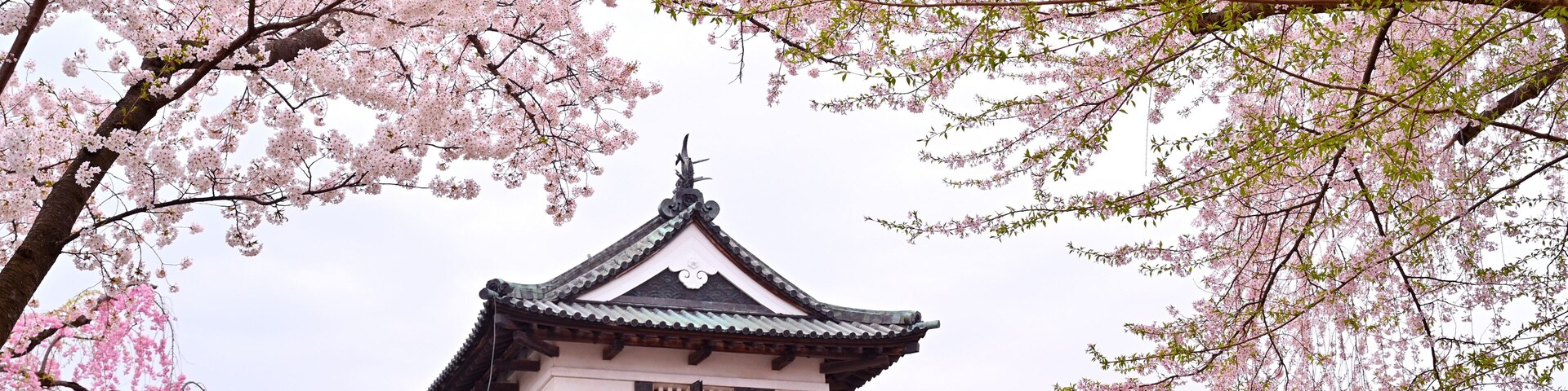 A traditional Japanese building with a multi-tiered roof, surrounded by cherry blossom trees.