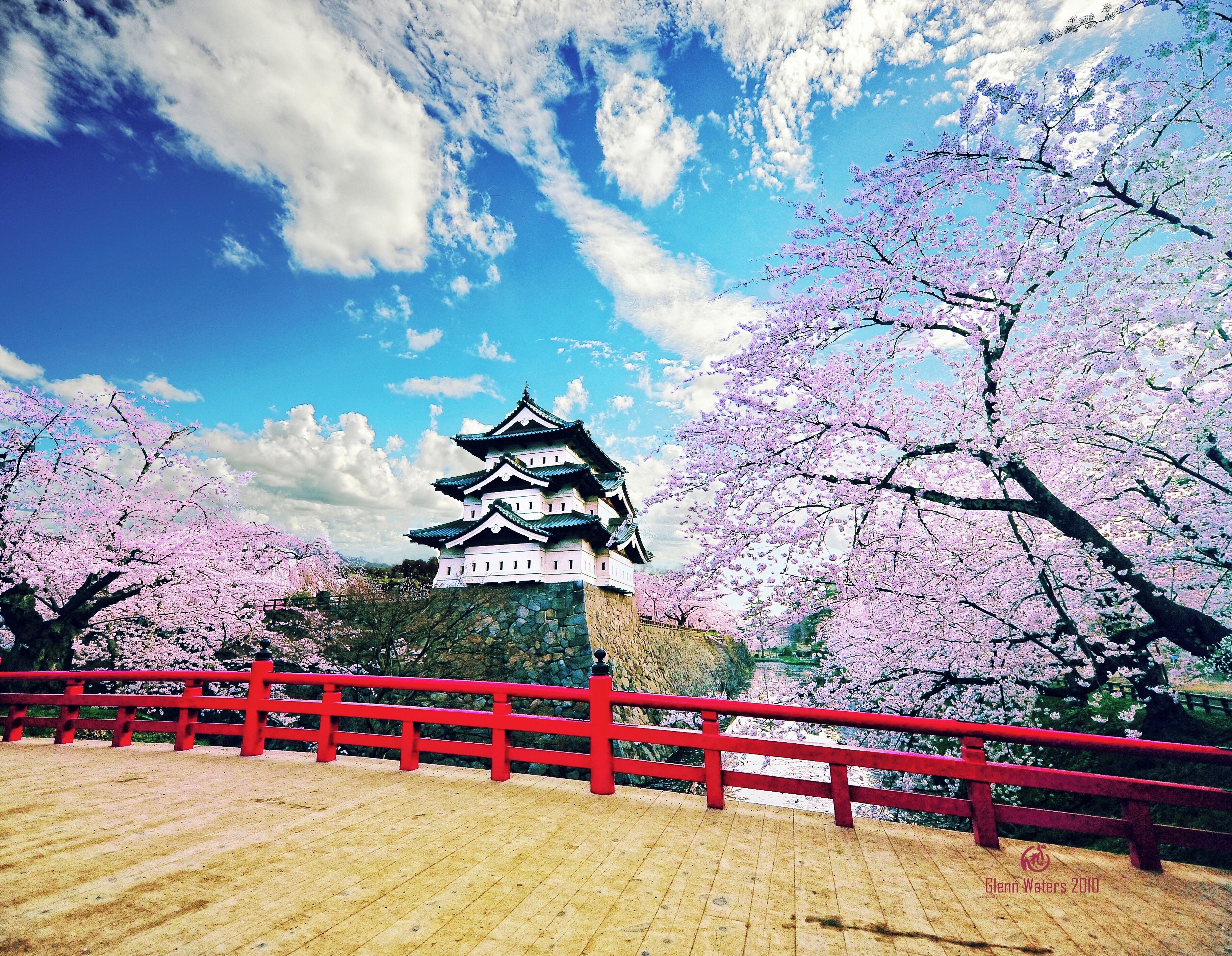 Hirosaki castle surrounded by cherry blossom