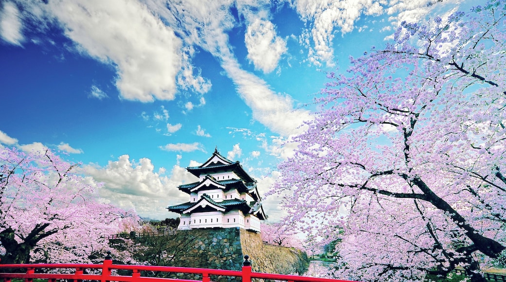 Hirosaki castle surrounded by cherry blossom