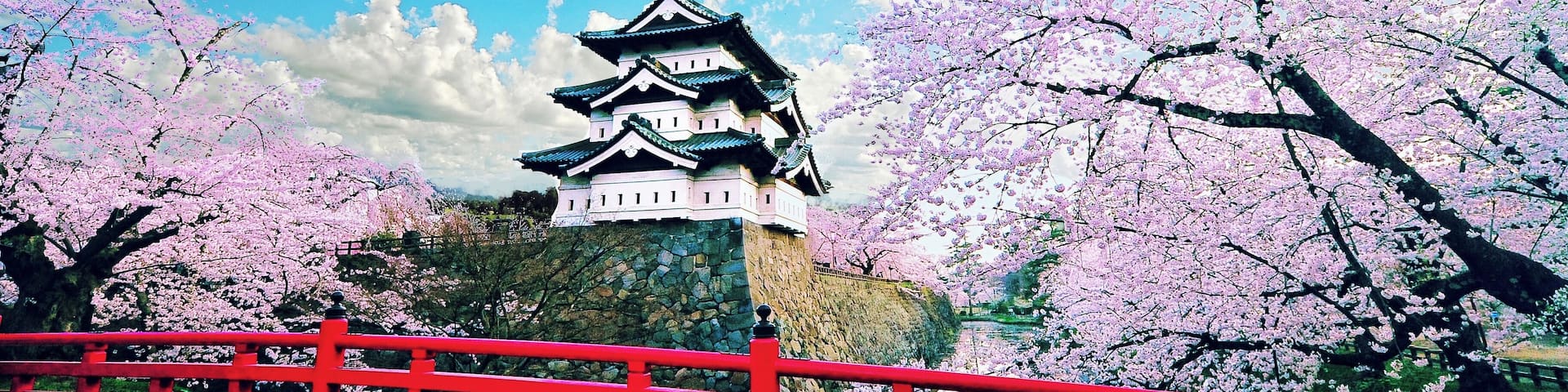Hirosaki castle surrounded by cherry blossom