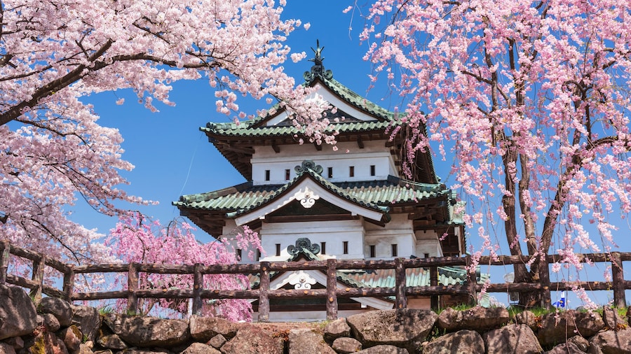 Hirosaki Castle and cherry blossoms, Japan
