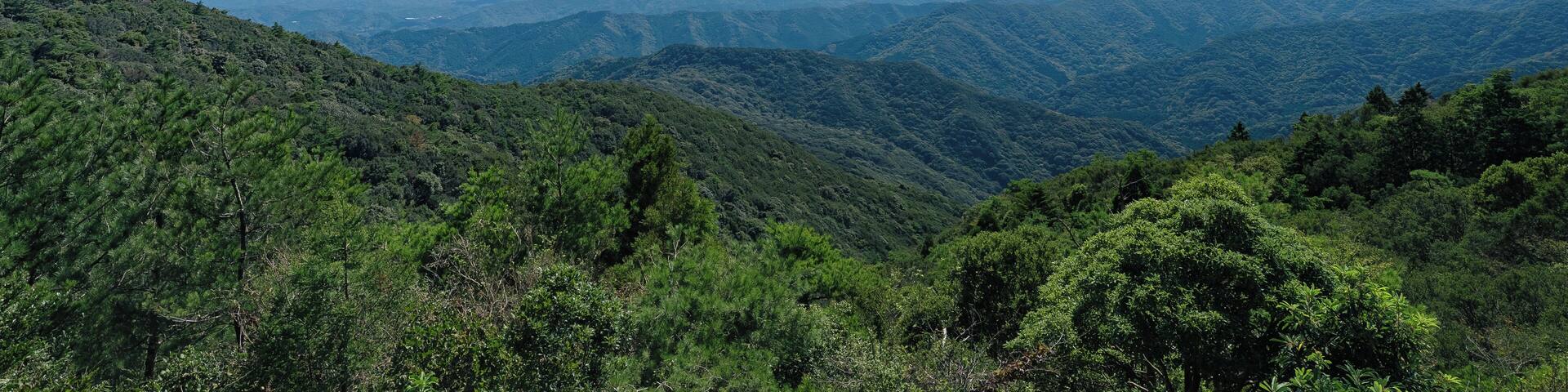 Toba_IseShimaNationalPark_6102562_07594