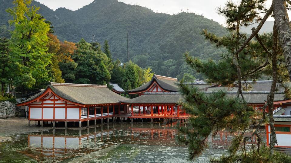 A traditional Japanese building with a thatched roof, surrounded by water and trees.