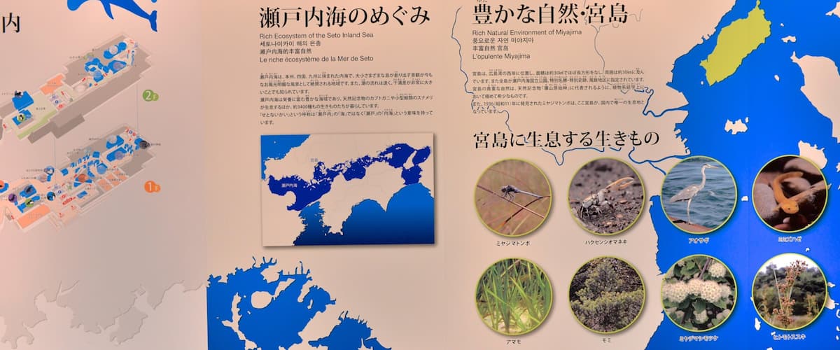 Miyajima Aquarium