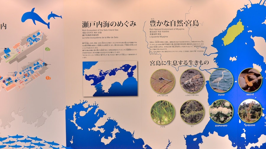 Miyajima Aquarium featuring signage