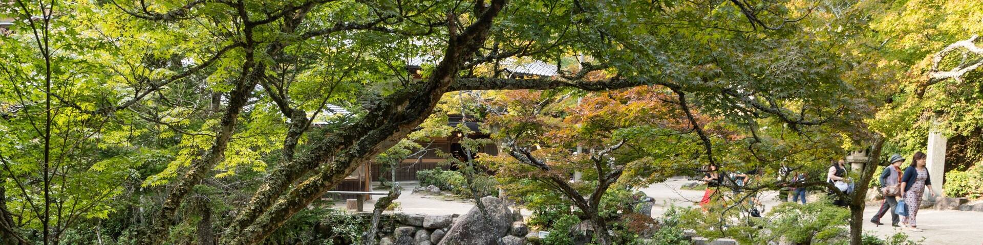 Un jardín japonés tradicional con grandes rocas, árboles cubiertos de musgo y un puente de madera roja.