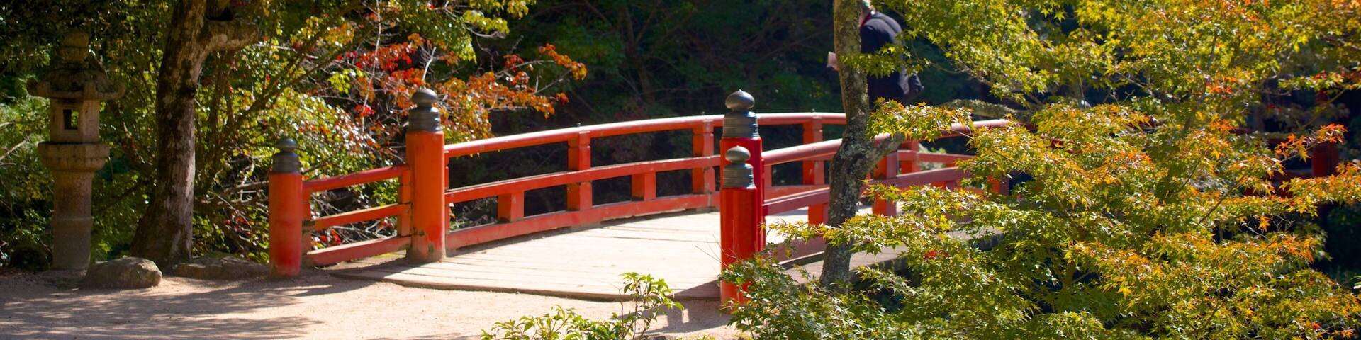 Momijidani Park featuring a park and a bridge