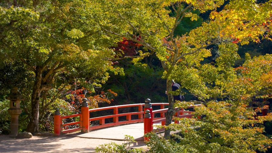 Momijidani Park showing a garden and a bridge