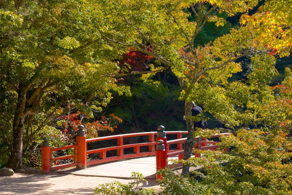 A red bridge in a lush, green park with autumn foliage.
