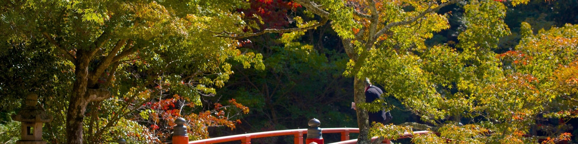 Momijidani Park featuring a park and a bridge