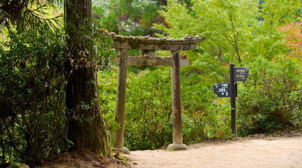 Momijidani Park showing a park
