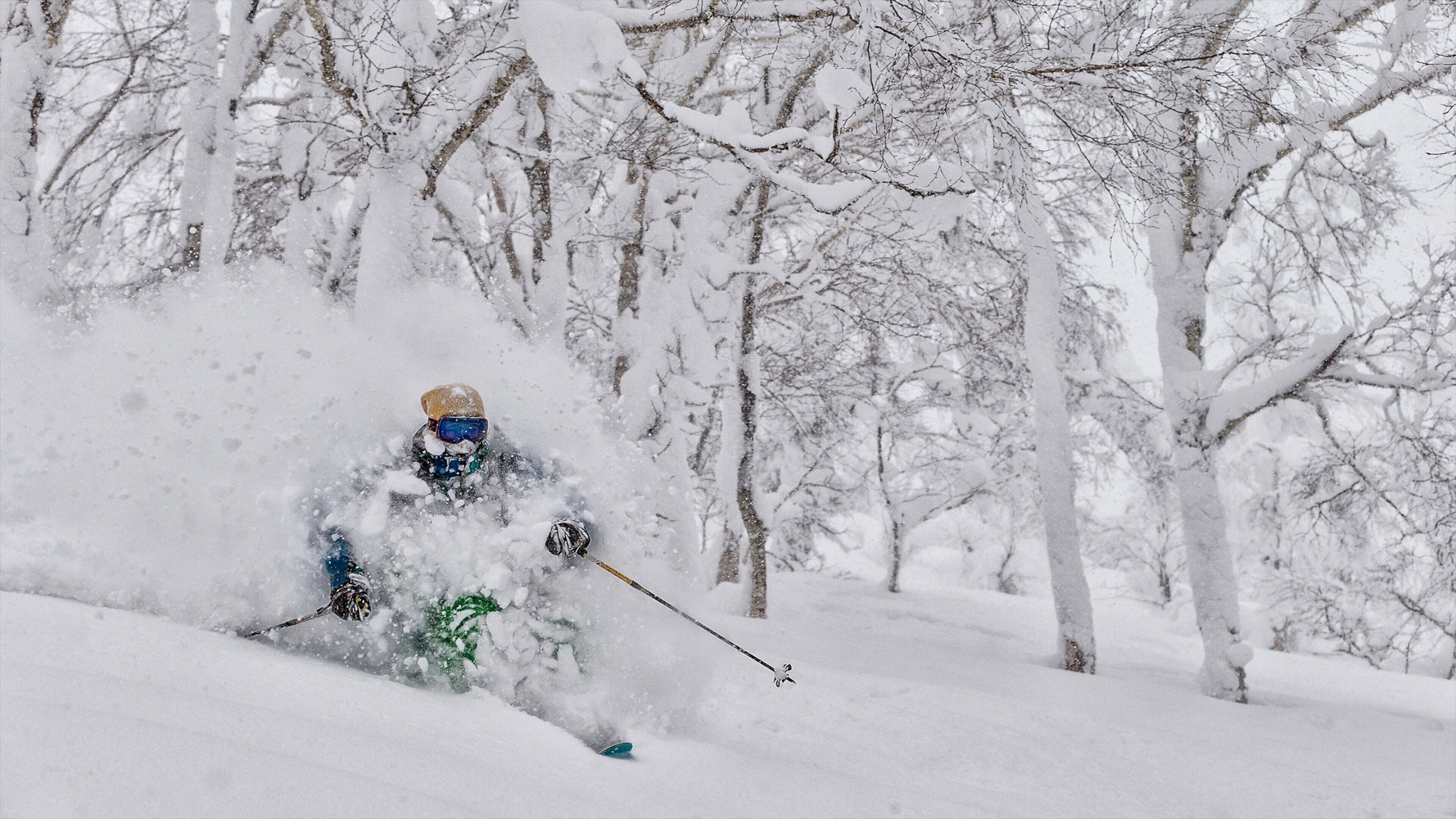 Rusutsu Resort mostrando esquiar en la nieve y nieve