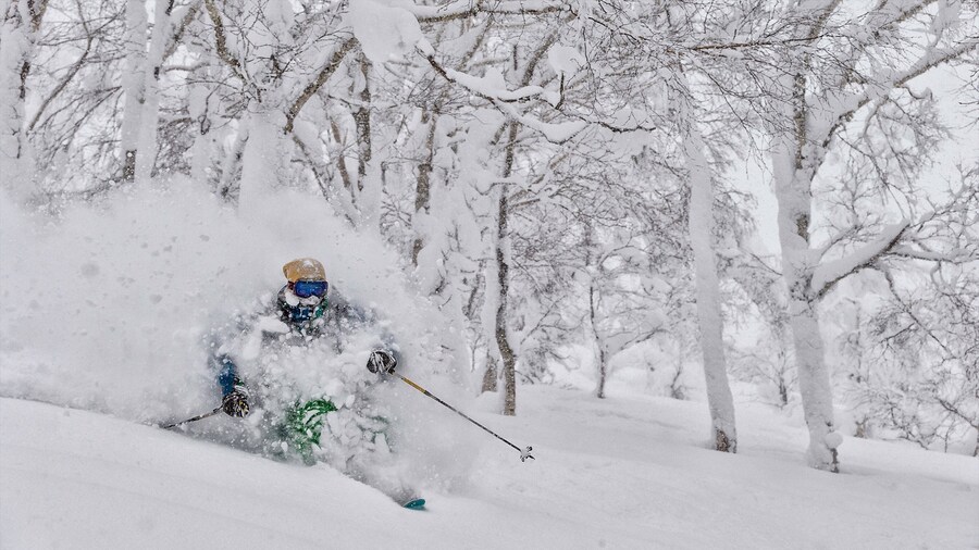 Rusutsu Resort showing snow skiing and snow