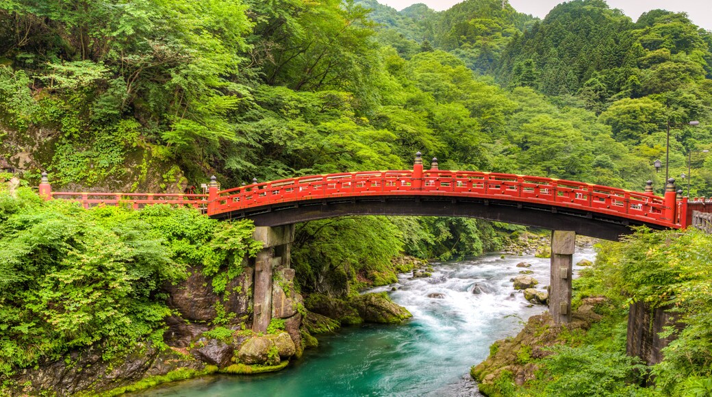 Immagini e panorami del giappone con tokyo e kyoto