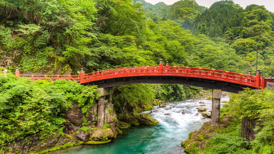 Immagini e panorami del giappone con tokyo e kyoto