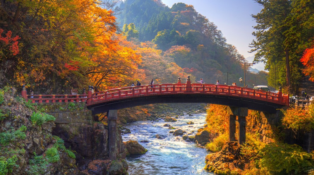 Shinkyo Bridge during autumn in Nikko, Tochigi, Japan