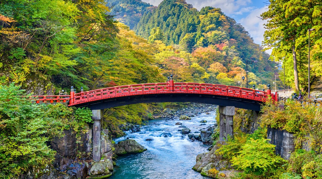 Shinkyo Bridge Japan