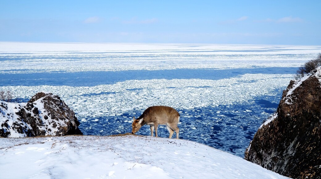 Shiretoko in winter; Shutterstock ID 141191272