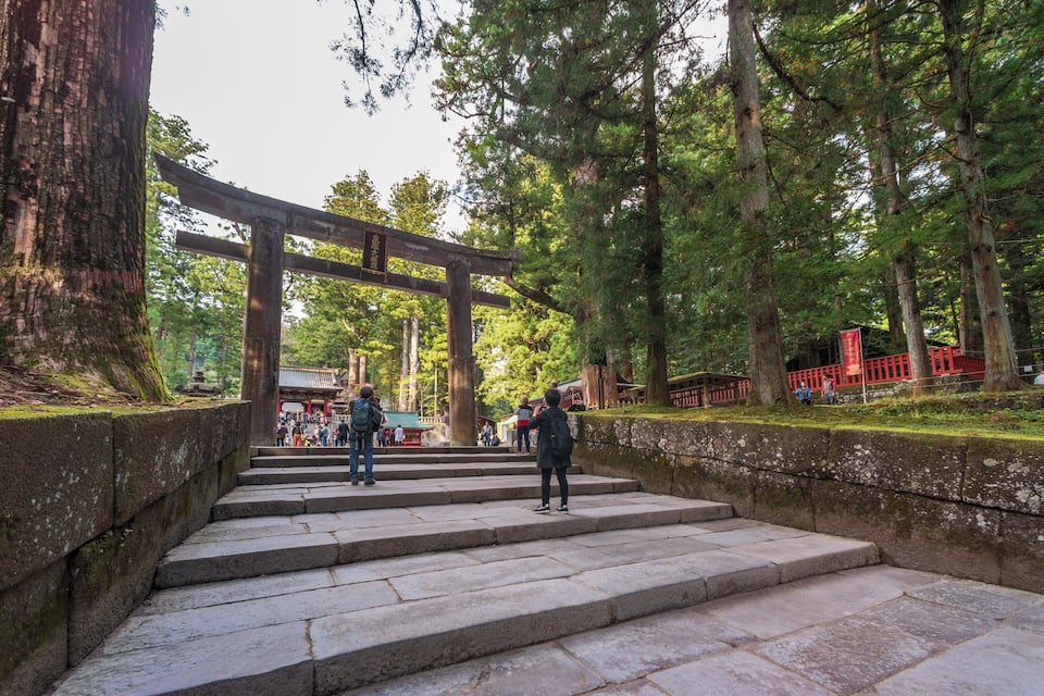 Stone steps leading up to a traditional Japanese torii gate surrounded by trees.